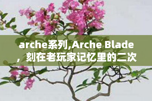 arche系列,Arche Blade，刻在老玩家记忆里的二次元动作格斗荣光