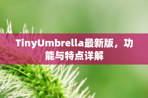 TinyUmbrella最新版图片