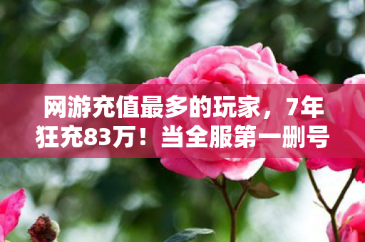网游充值最多的玩家,7年狂充83万!当全服第一删号时,服务器竟为他亮起血色倒计时 网游充值最多的玩家,7年狂充83万!当全服第一删号时,服务器竟为他亮起血色倒计时
