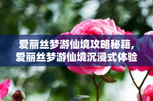 爱丽丝梦游仙境攻略秘籍,爱丽丝梦游仙境沉浸式体验全攻略,揣着怀表赴一场奇幻茶会 爱丽丝梦游仙境攻略秘籍,爱丽丝梦游仙境沉浸式体验全攻略,揣着怀表赴一场奇幻茶会