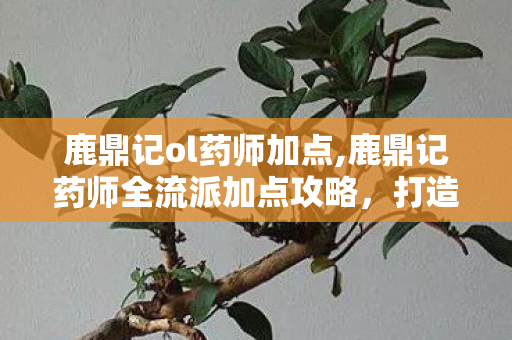 鹿鼎记ol药师加点,鹿鼎记药师全流派加点攻略，打造能奶能抗的团队核心
