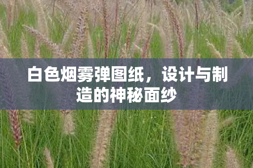 设计与制造的神秘面纱图片