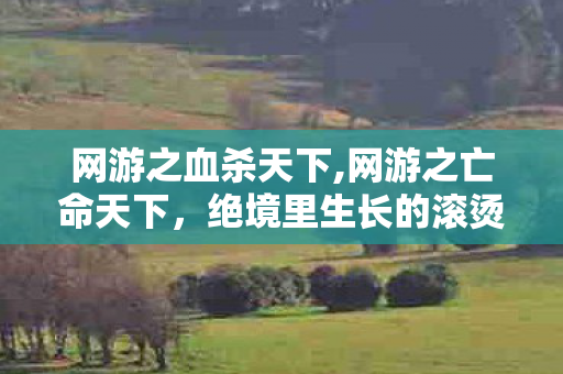 网游之血杀天下,网游之亡命天下,绝境里生长的滚烫玩家江湖 网游之血杀天下,网游之亡命天下,绝境里生长的滚烫玩家江湖