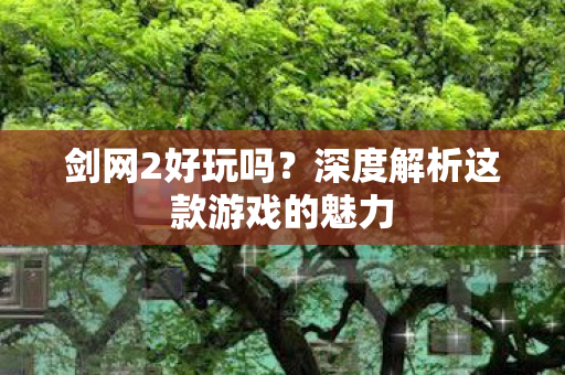 深度解析这款游戏的魅力图片