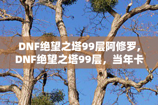 DNF绝望之塔99层阿修罗,DNF绝望之塔99层,当年卡在这层的老玩家,都还记得那个追着人满图跑的格斗家吗 DNF绝望之塔99层阿修罗,DNF绝望之塔99层,当年卡在这层的老玩家,都还记得那个追着人满图跑的格斗家吗