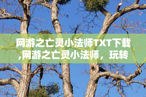 网游之亡灵小法师TXT下载,网游之亡灵小法师,玩转冷门法系的热血冒险日常 网游之亡灵小法师TXT下载,网游之亡灵小法师,玩转冷门法系的热血冒险日常