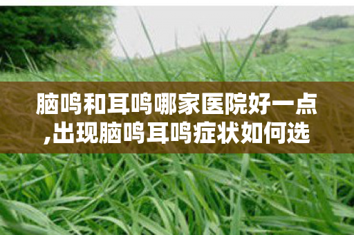 脑鸣和耳鸣哪家医院好一点,出现脑鸣耳鸣症状如何选择靠谱的就诊医院 脑鸣和耳鸣哪家医院好一点,出现脑鸣耳鸣症状如何选择靠谱的就诊医院
