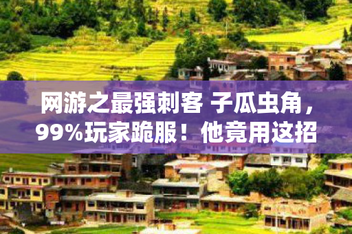 网游之最强刺客 子瓜虫角，99%玩家跪服！他竟用这招在2030年网游界封神？