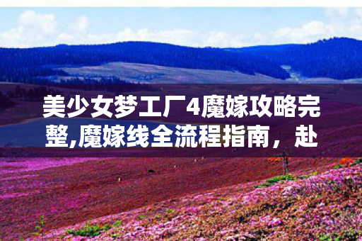 美少女梦工厂4魔嫁攻略完整,魔嫁线全流程指南,赴一场暮色下的魔界约定 美少女梦工厂4魔嫁攻略完整,魔嫁线全流程指南,赴一场暮色下的魔界约定