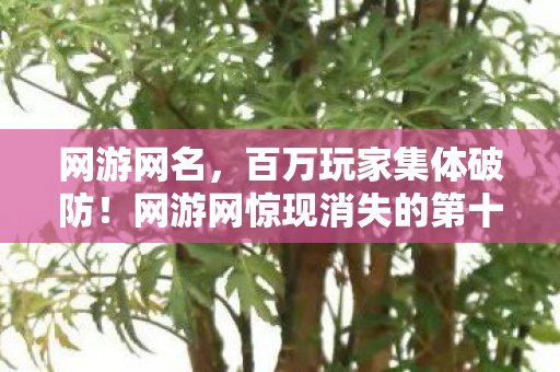 网游网名,百万玩家集体破防!网游网惊现消失的第十区谜团 网游网名,百万玩家集体破防!网游网惊现消失的第十区谜团