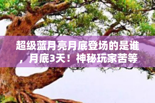 超级蓝月亮月底登场的是谁,月底3天!神秘玩家苦等12年,超级蓝月亮竟成最后慰藉? 超级蓝月亮月底登场的是谁,月底3天!神秘玩家苦等12年,超级蓝月亮竟成最后慰藉?