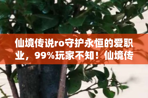 仙境传说ro守护永恒的爱职业,99%玩家不知!仙境传说RO隐藏机制竟让战力暴涨300%? 仙境传说ro守护永恒的爱职业,99%玩家不知!仙境传说RO隐藏机制竟让战力暴涨300%?