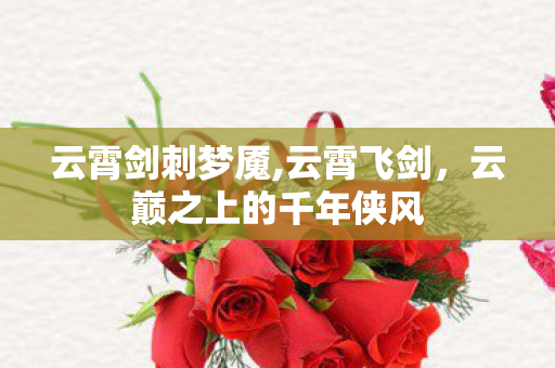 云霄剑刺梦魇,云霄飞剑,云巅之上的千年侠风 云霄剑刺梦魇,云霄飞剑,云巅之上的千年侠风