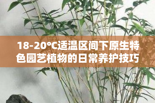 18-20℃适温区间下原生特色园艺植物的日常养护技巧 18-20℃适温区间下原生特色园艺植物的日常养护技巧