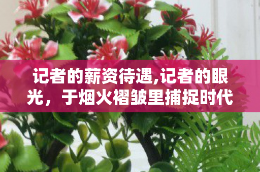 记者的薪资待遇,记者的眼光,于烟火褶皱里捕捉时代的脉搏 记者的薪资待遇,记者的眼光,于烟火褶皱里捕捉时代的脉搏