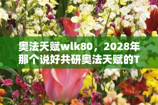 奥法天赋wlk80,2028年那个说好共研奥法天赋的TA,如今伏笔成殇,鼻子一酸泪满眶 奥法天赋wlk80,2028年那个说好共研奥法天赋的TA,如今伏笔成殇,鼻子一酸泪满眶