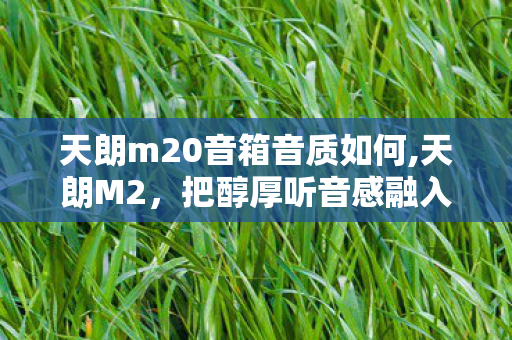 天朗m20音箱音质如何,天朗M2,把醇厚听音感融入日常每一处场景 天朗m20音箱音质如何,天朗M2,把醇厚听音感融入日常每一处场景