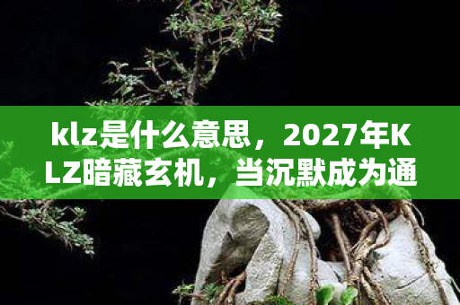 klz是什么意思,2027年KLZ暗藏玄机,当沉默成为通关密码,这游戏究竟给了我什么? klz是什么意思,2027年KLZ暗藏玄机,当沉默成为通关密码,这游戏究竟给了我什么?