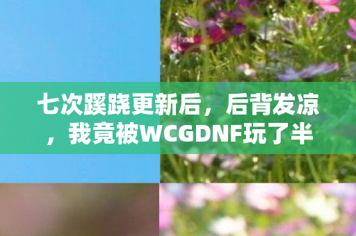 七次蹊跷更新后,后背发凉,我竟被WCGDNF玩了半辈子? 七次蹊跷更新后,后背发凉,我竟被WCGDNF玩了半辈子?