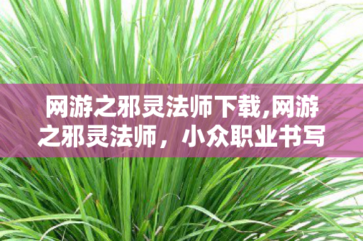 网游之邪灵法师下载,网游之邪灵法师，小众职业书写的别样游戏冒险诗