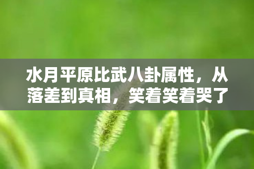 水月平原比武八卦属性,从落差到真相,笑着笑着哭了,水月平原八卦竟成我最后的避难所 水月平原比武八卦属性,从落差到真相,笑着笑着哭了,水月平原八卦竟成我最后的避难所