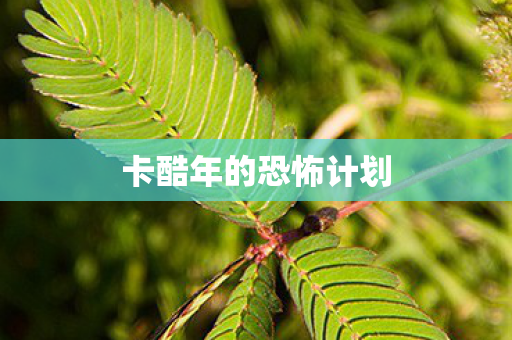 卡酷年的恐怖计划图片