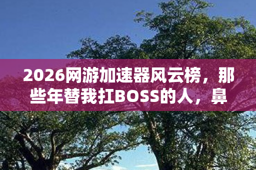2026网游加速器风云榜,那些年替我扛BOSS的人,鼻子一酸竟成永恒 2026网游加速器风云榜,那些年替我扛BOSS的人,鼻子一酸竟成永恒