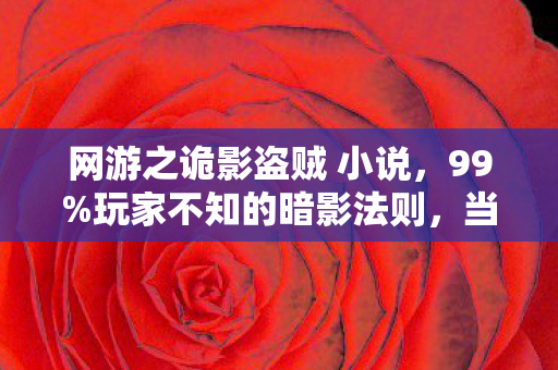 网游之诡影盗贼 小说，99%玩家不知的暗影法则，当盗贼的刀尖刺穿你的孤独