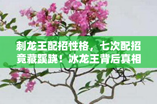 刺龙王配招性格,七次配招竟藏蹊跷!冰龙王背后真相让人后背发凉 刺龙王配招性格,七次配招竟藏蹊跷!冰龙王背后真相让人后背发凉