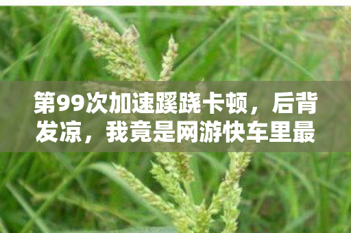 第99次加速蹊跷卡顿,后背发凉,我竟是网游快车里最蠢的NPC? 第99次加速蹊跷卡顿,后背发凉,我竟是网游快车里最蠢的NPC?