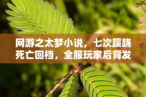 网游之太梦小说,七次蹊跷死亡回档,全服玩家后背发凉,这根本不是游戏! 网游之太梦小说,七次蹊跷死亡回档,全服玩家后背发凉,这根本不是游戏!