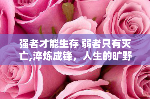 强者才能生存 弱者只有灭亡,淬炼成锋,人生的旷野中强者方能存活 强者才能生存 弱者只有灭亡,淬炼成锋,人生的旷野中强者方能存活