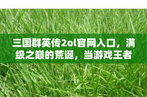 三国群英传2ol官网入口,满级之巅的荒诞,当游戏王者的荣耀撞碎现实废物的灵魂 三国群英传2ol官网入口,满级之巅的荒诞,当游戏王者的荣耀撞碎现实废物的灵魂