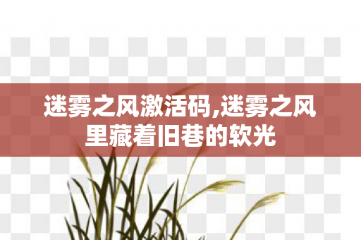 迷雾之风激活码,迷雾之风里藏着旧巷的软光