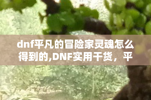 dnf平凡的冒险家灵魂怎么得到的,DNF实用干货，平凡的冒险家灵魂全获取方法汇总