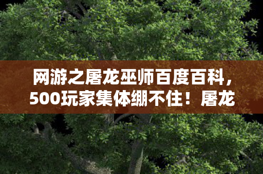 网游之屠龙巫师百度百科,500玩家集体绷不住!屠龙巫师复活疑云,是BUG还是官方恶作剧? 网游之屠龙巫师百度百科,500玩家集体绷不住!屠龙巫师复活疑云,是BUG还是官方恶作剧?