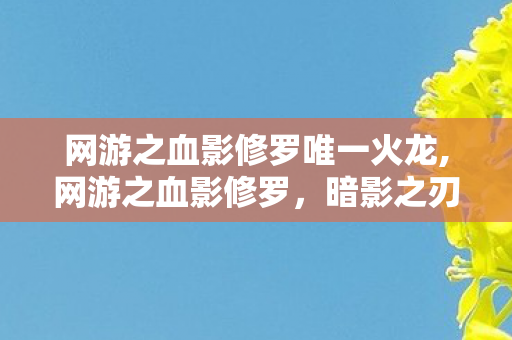 网游之血影修罗唯一火龙,网游之血影修罗,暗影之刃下的热血网游江湖 网游之血影修罗唯一火龙,网游之血影修罗,暗影之刃下的热血网游江湖