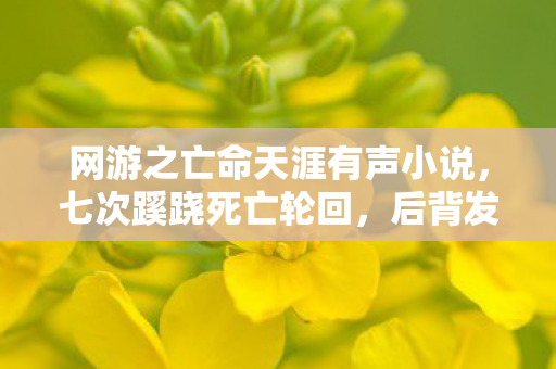 网游之亡命天涯有声小说,七次蹊跷死亡轮回,后背发凉!网游亡命天涯藏何惊天秘密? 网游之亡命天涯有声小说,七次蹊跷死亡轮回,后背发凉!网游亡命天涯藏何惊天秘密?