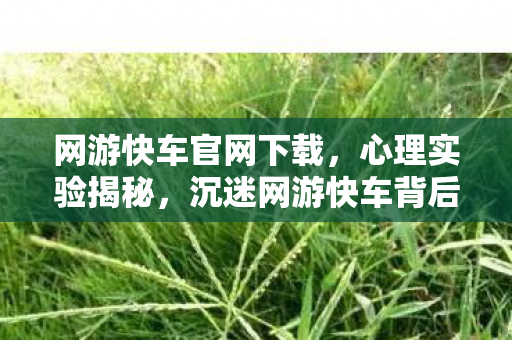 网游快车官网下载，心理实验揭秘，沉迷网游快车背后的细思极恐真相