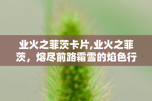 业火之菲茨卡片,业火之菲茨,熔尽前路霜雪的焰色行者 业火之菲茨卡片,业火之菲茨,熔尽前路霜雪的焰色行者