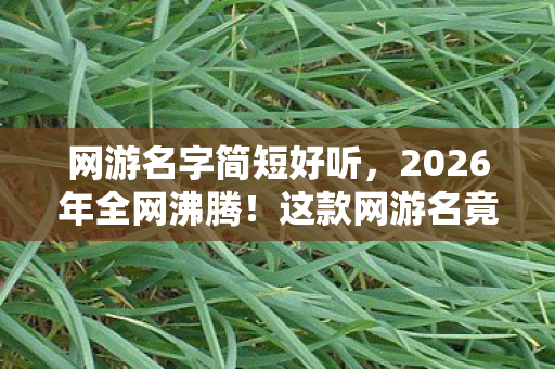 网游名字简短好听,2026年全网沸腾!这款网游名竟让百万玩家集体破防? 网游名字简短好听,2026年全网沸腾!这款网游名竟让百万玩家集体破防?