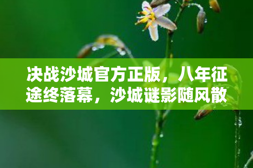 决战沙城官方正版,八年征途终落幕,沙城谜影随风散,泪目无声 决战沙城官方正版,八年征途终落幕,沙城谜影随风散,泪目无声