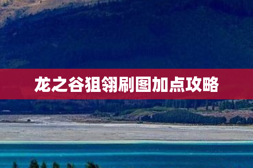 龙之谷狙翎刷图加点攻略图片