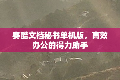 赛酷文档秘书单机版图片
