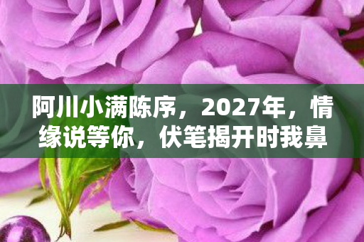 阿川小满陈序,2027年,情缘说等你,伏笔揭开时我鼻子一酸 阿川小满陈序,2027年,情缘说等你,伏笔揭开时我鼻子一酸