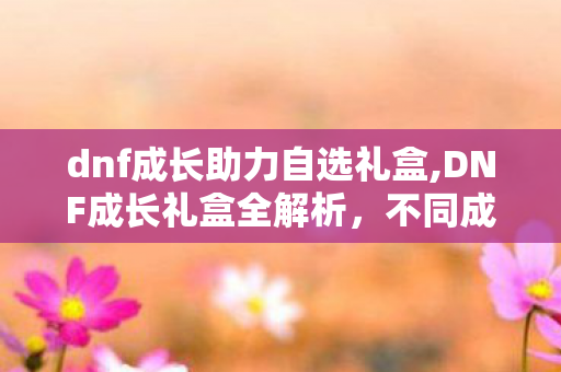 dnf成长助力自选礼盒,DNF成长礼盒全解析,不同成长阶段的实用道具清单一览 dnf成长助力自选礼盒,DNF成长礼盒全解析,不同成长阶段的实用道具清单一览