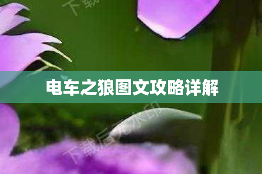 电车之狼图文攻略详解图片
