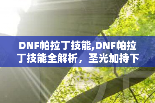 DNF帕拉丁技能,DNF帕拉丁技能全解析,圣光加持下的能辅能战进阶指南 DNF帕拉丁技能,DNF帕拉丁技能全解析,圣光加持下的能辅能战进阶指南