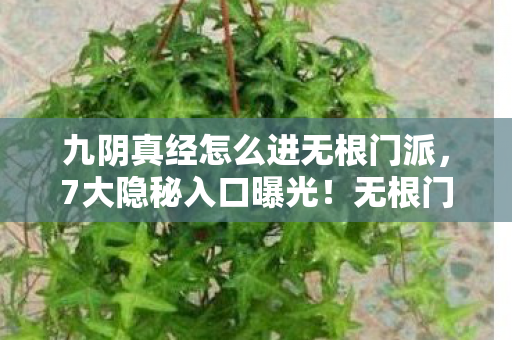 九阴真经怎么进无根门派,7大隐秘入口曝光!无根门背后竟藏着制作组的惊天谎言? 九阴真经怎么进无根门派,7大隐秘入口曝光!无根门背后竟藏着制作组的惊天谎言?
