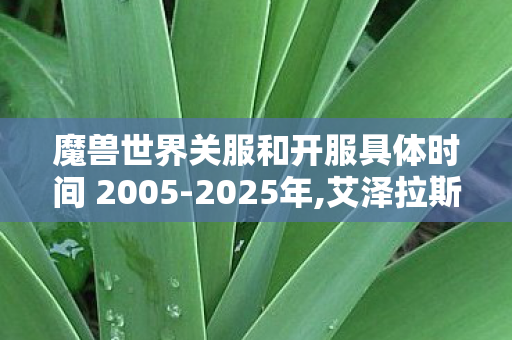 魔兽世界关服和开服具体时间 2005-2025年,艾泽拉斯暂别时刻,我们藏在游戏里的青春注脚 魔兽世界关服和开服具体时间 2005-2025年,艾泽拉斯暂别时刻,我们藏在游戏里的青春注脚